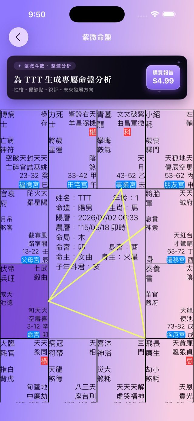 五行人 App 紫微命盤畫面